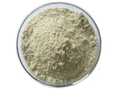 Hemp seed oil powder